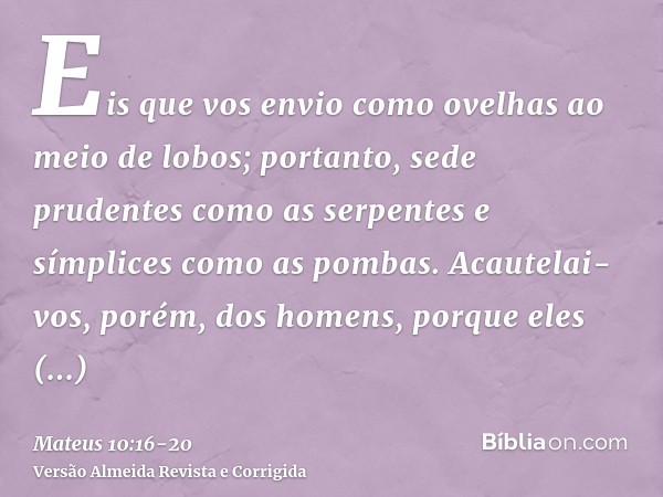 Eis que vos envio como ovelhas ao meio de lobos; portanto, sede prudentes como as serpentes e símplices como as pombas.Acautelai-vos, porém, dos homens, porque 