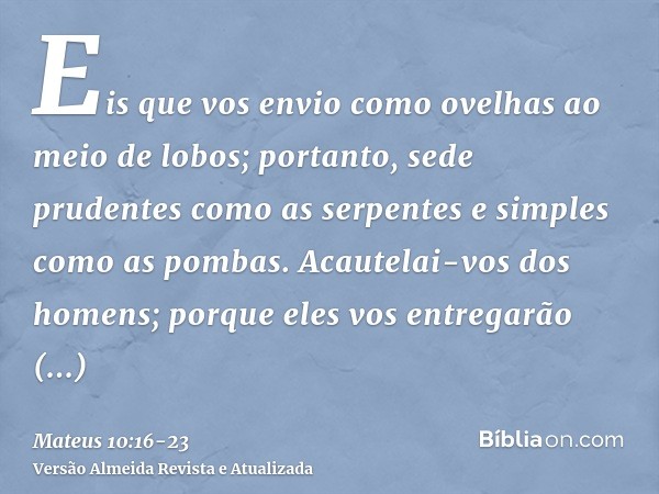 Eis que vos envio como ovelhas ao meio de lobos; portanto, sede prudentes como as serpentes e simples como as pombas.Acautelai-vos dos homens; porque eles vos e