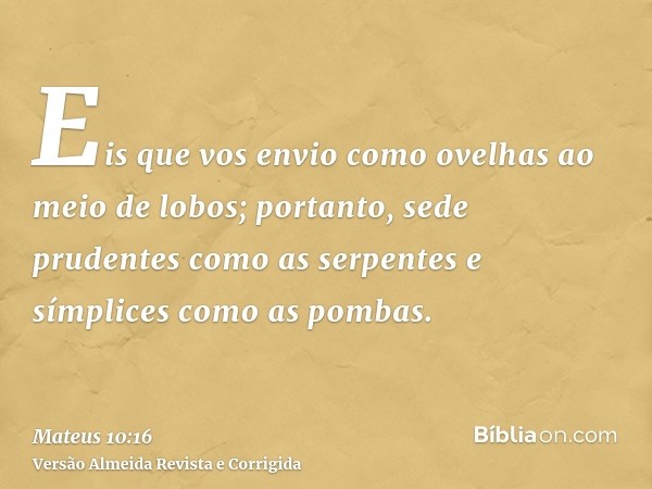Eis que vos envio como ovelhas ao meio de lobos; portanto, sede prudentes como as serpentes e símplices como as pombas.