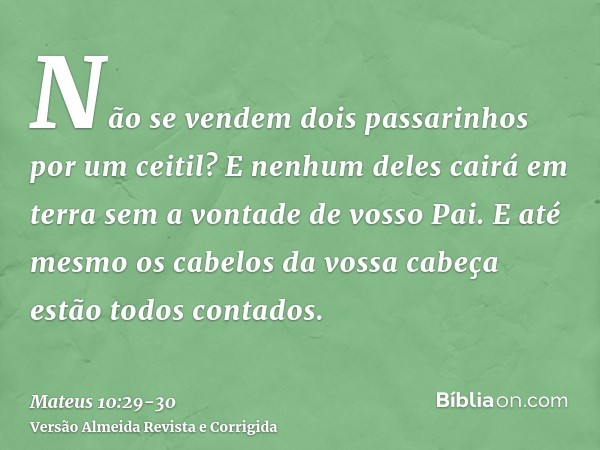 Não se vendem dois passarinhos por um ceitil? E nenhum deles cairá em terra sem a vontade de vosso Pai.E até mesmo os cabelos da vossa cabeça estão todos contad