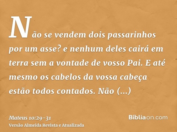 Não se vendem dois passarinhos por um asse? e nenhum deles cairá em terra sem a vontade de vosso Pai.E até mesmo os cabelos da vossa cabeça estão todos contados