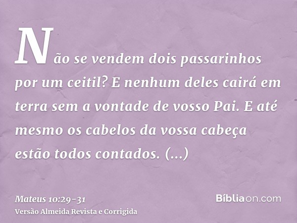 Não se vendem dois passarinhos por um ceitil? E nenhum deles cairá em terra sem a vontade de vosso Pai.E até mesmo os cabelos da vossa cabeça estão todos contad