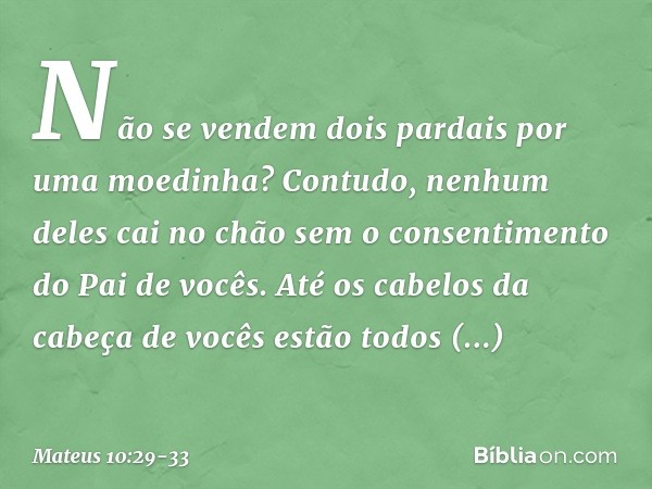 Não se vendem dois pardais por uma moedinha? Contudo, nenhum deles cai no chão sem o consentimento do Pai de vocês. Até os cabelos da cabeça de vocês estão todo