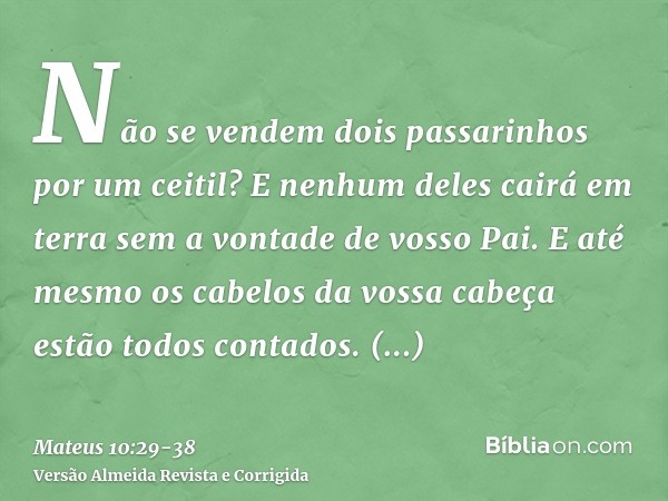 Não se vendem dois passarinhos por um ceitil? E nenhum deles cairá em terra sem a vontade de vosso Pai.E até mesmo os cabelos da vossa cabeça estão todos contad