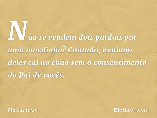 Não se vendem dois pardais por uma moedinha? Contudo, nenhum deles cai no chão sem o consentimento do Pai de vocês. -- Mateus 10:29