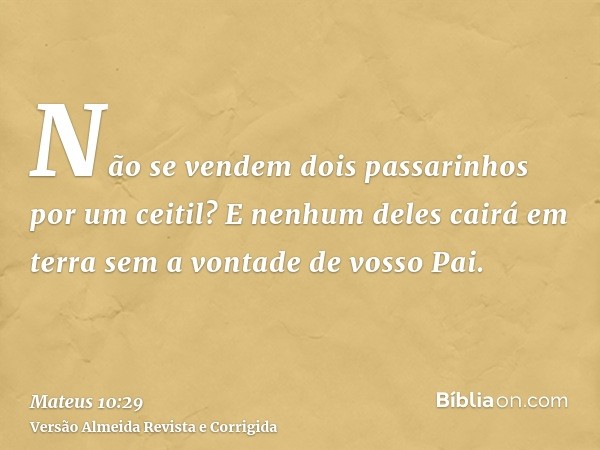 Não se vendem dois passarinhos por um ceitil? E nenhum deles cairá em terra sem a vontade de vosso Pai.
