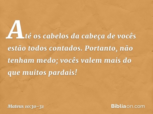 Até os cabelos da cabeça de vocês estão todos contados. Portanto, não tenham medo; vocês valem mais do que muitos pardais! -- Mateus 10:30-31