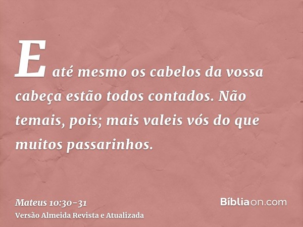 E até mesmo os cabelos da vossa cabeça estão todos contados.Não temais, pois; mais valeis vós do que muitos passarinhos.