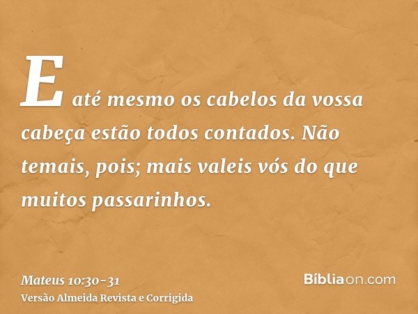 E até mesmo os cabelos da vossa cabeça estão todos contados.Não temais, pois; mais valeis vós do que muitos passarinhos.