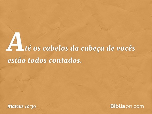 Até os cabelos da cabeça de vocês estão todos contados. -- Mateus 10:30