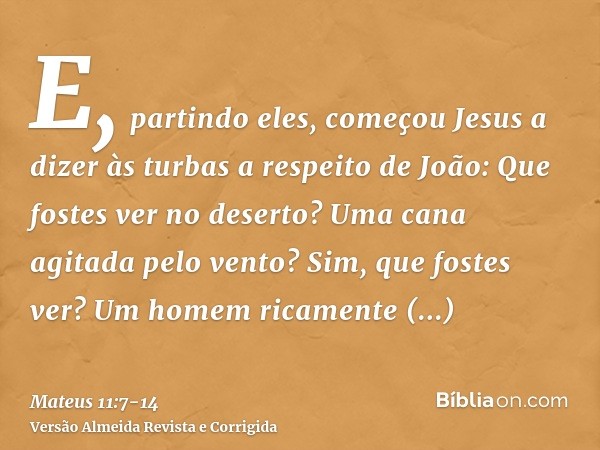 E, partindo eles, começou Jesus a dizer às turbas a respeito de João: Que fostes ver no deserto? Uma cana agitada pelo vento?Sim, que fostes ver? Um homem ricam