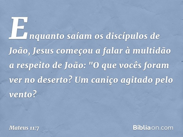 Enquanto saíam os discípulos de João, Jesus começou a falar à multidão a respeito de João: "O que vocês foram ver no deserto? Um caniço agitado pelo vento? -- M