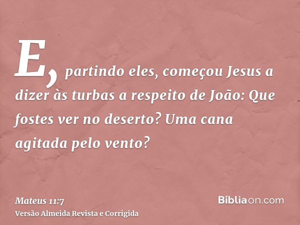 E, partindo eles, começou Jesus a dizer às turbas a respeito de João: Que fostes ver no deserto? Uma cana agitada pelo vento?