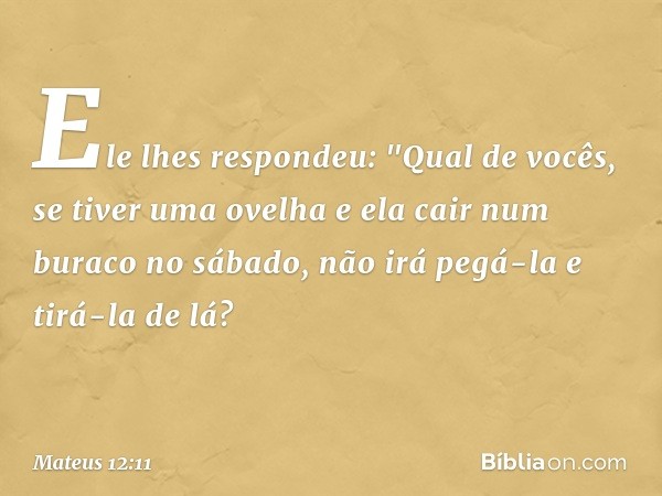 Ele lhes respondeu: "Qual de vocês, se tiver uma ovelha e ela cair num buraco no sábado, não irá pegá-la e tirá-la de lá? -- Mateus 12:11