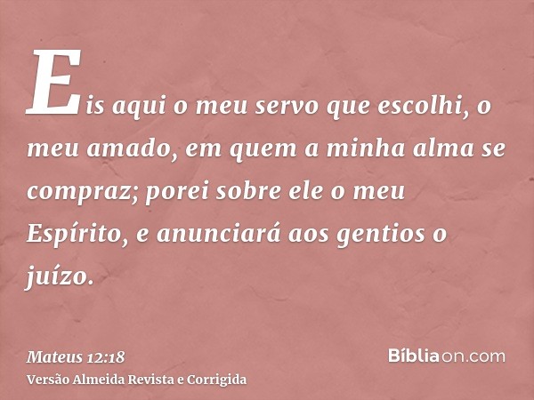 Eis aqui o meu servo que escolhi, o meu amado, em quem a minha alma se compraz; porei sobre ele o meu Espírito, e anunciará aos gentios o juízo.
