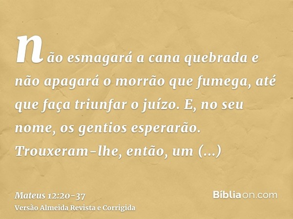 não esmagará a cana quebrada e não apagará o morrão que fumega, até que faça triunfar o juízo.E, no seu nome, os gentios esperarão.Trouxeram-lhe, então, um ende