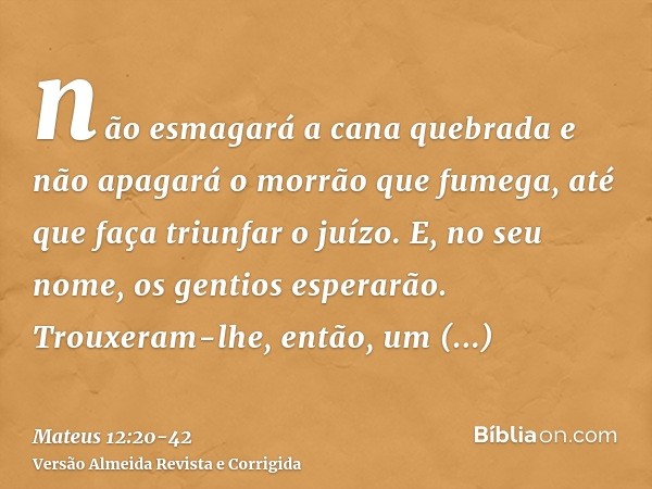 não esmagará a cana quebrada e não apagará o morrão que fumega, até que faça triunfar o juízo.E, no seu nome, os gentios esperarão.Trouxeram-lhe, então, um ende