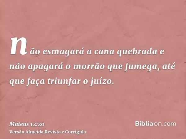 não esmagará a cana quebrada e não apagará o morrão que fumega, até que faça triunfar o juízo.