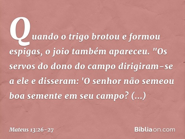 Quando o trigo brotou e formou espigas, o joio também apareceu. "Os servos do dono do campo dirigiram-se a ele e disseram: 'O senhor não semeou boa semente em s