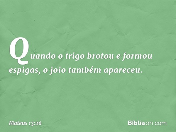 Quando o trigo brotou e formou espigas, o joio também apareceu. -- Mateus 13:26