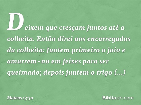 Deixem que cresçam juntos até a colheita. Então direi aos encarregados da colheita: Juntem primeiro o joio e amarrem-no em feixes para ser queimado; depois junt