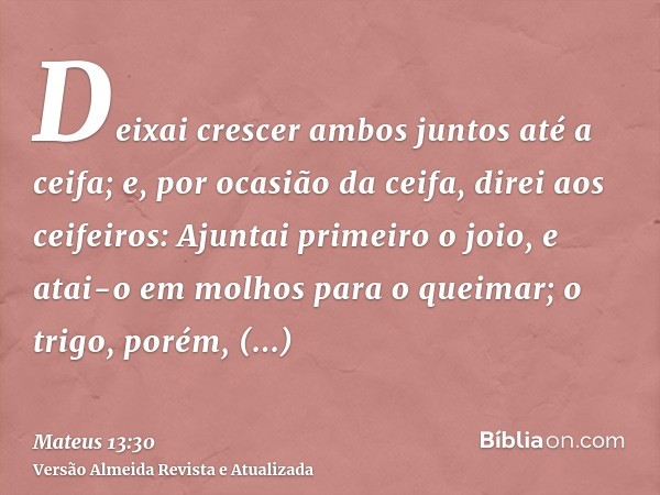 Deixai crescer ambos juntos até a ceifa; e, por ocasião da ceifa, direi aos ceifeiros: Ajuntai primeiro o joio, e atai-o em molhos para o queimar; o trigo, poré