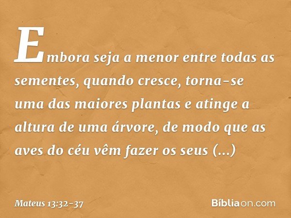 Embora seja a menor entre todas as sementes, quando cresce, torna-se uma das maiores plantas e atinge a altura de uma árvore, de modo que as aves do céu vêm faz