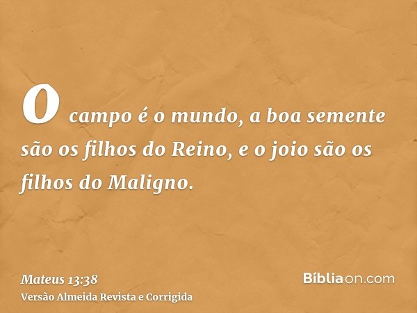 o campo é o mundo, a boa semente são os filhos do Reino, e o joio são os filhos do Maligno.