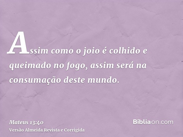 Assim como o joio é colhido e queimado no fogo, assim será na consumação deste mundo.