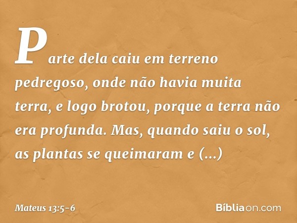 Parte dela caiu em terreno pedregoso, onde não havia muita terra, e logo brotou, porque a terra não era profunda. Mas, quando saiu o sol, as plantas se queimara