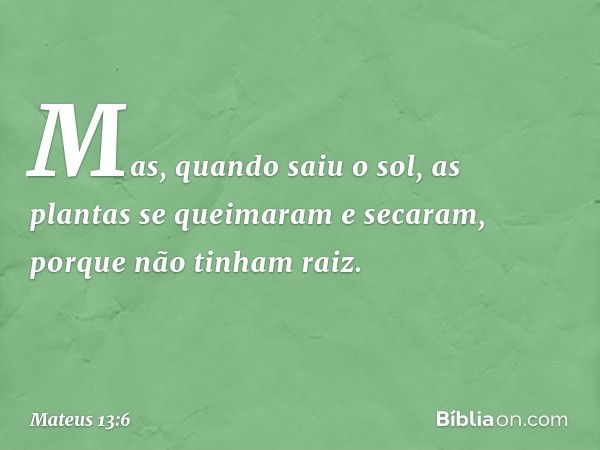 Mas, quando saiu o sol, as plantas se queimaram e secaram, porque não tinham raiz. -- Mateus 13:6