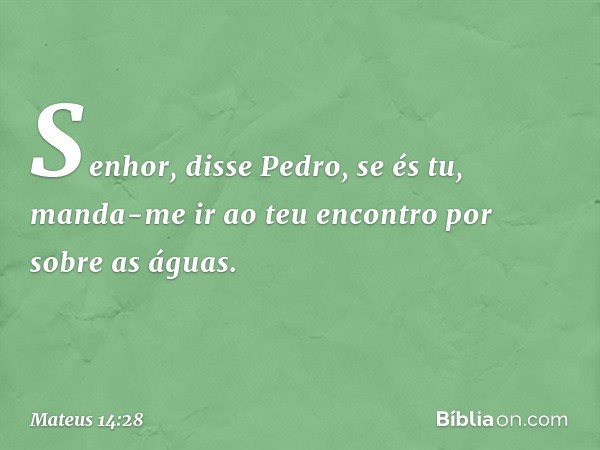 "Senhor", disse Pedro, "se és tu, manda-me ir ao teu encontro por sobre as águas". -- Mateus 14:28