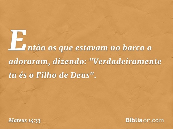 Então os que estavam no barco o adoraram, dizendo: "Verdadeiramente tu és o Filho de Deus". -- Mateus 14:33