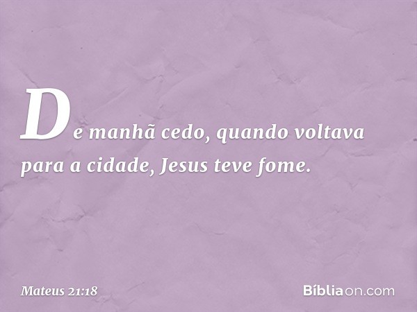 De manhã cedo, quando voltava para a cidade, Jesus teve fome. -- Mateus 21:18