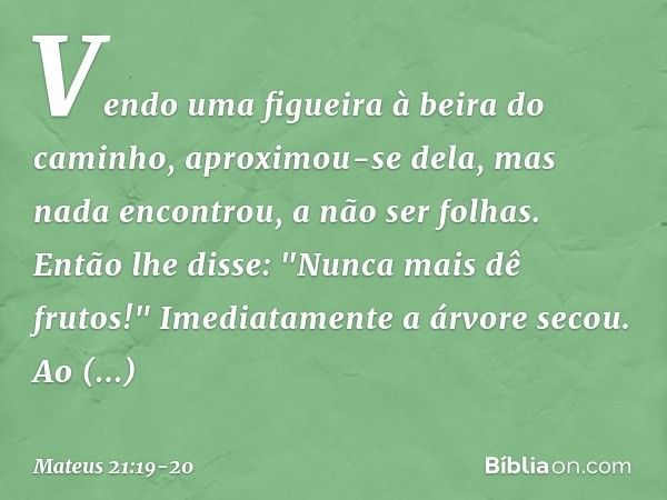 Vendo uma figueira à beira do caminho, aproximou-se dela, mas nada encontrou, a não ser folhas. Então lhe disse: "Nunca mais dê frutos!" Imediatamente a árvore 