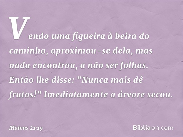 Vendo uma figueira à beira do caminho, aproximou-se dela, mas nada encontrou, a não ser folhas. Então lhe disse: "Nunca mais dê frutos!" Imediatamente a árvore 