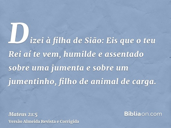 Dizei à filha de Sião: Eis que o teu Rei aí te vem, humilde e assentado sobre uma jumenta e sobre um jumentinho, filho de animal de carga.
