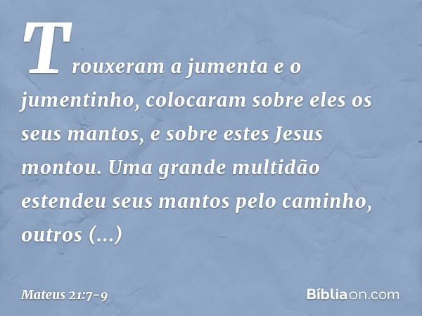 Trouxeram a jumenta e o jumentinho, colocaram sobre eles os seus mantos, e sobre estes Jesus montou. Uma grande multidão estendeu seus mantos pelo caminho, outr