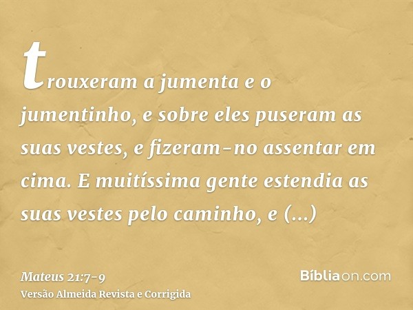 trouxeram a jumenta e o jumentinho, e sobre eles puseram as suas vestes, e fizeram-no assentar em cima.E muitíssima gente estendia as suas vestes pelo caminho, 