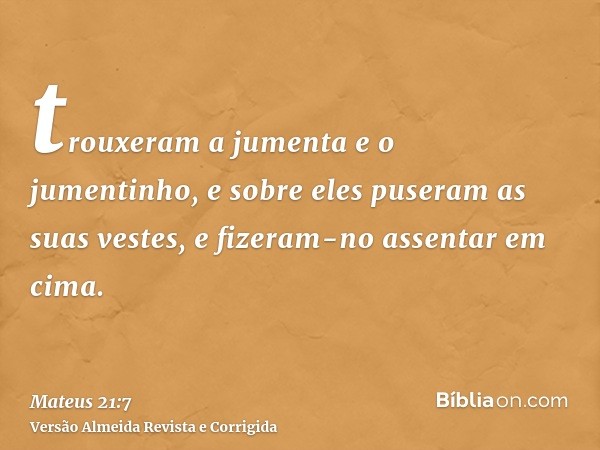trouxeram a jumenta e o jumentinho, e sobre eles puseram as suas vestes, e fizeram-no assentar em cima.