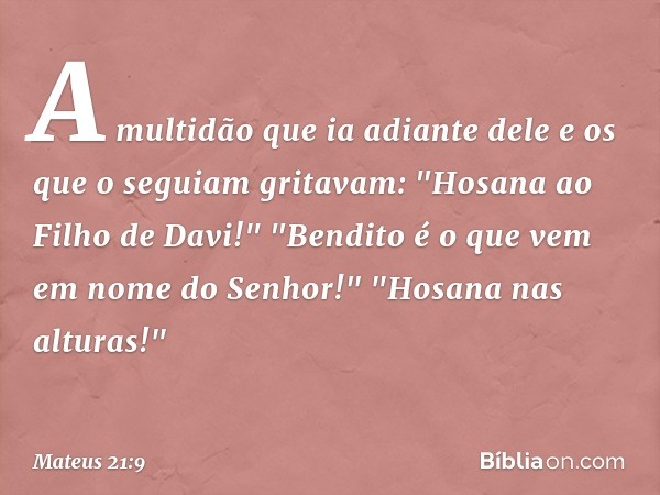 A multidão que ia adiante dele e os que o seguiam gritavam:
"Hosana ao Filho de Davi!"
"Bendito é o que vem
em nome do Senhor!"
"Hosana nas alturas!" -- Mateus 