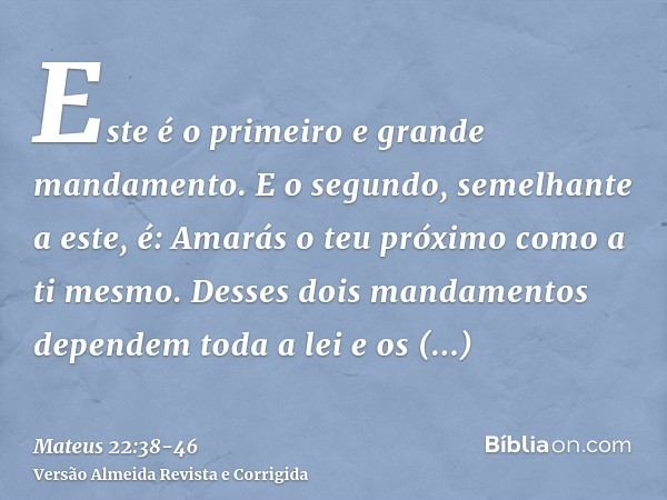 Este é o primeiro e grande mandamento.E o segundo, semelhante a este, é: Amarás o teu próximo como a ti mesmo.Desses dois mandamentos dependem toda a lei e os p