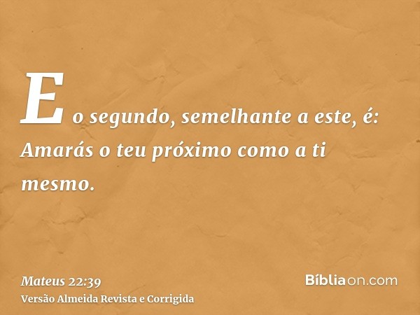 E o segundo, semelhante a este, é: Amarás o teu próximo como a ti mesmo.