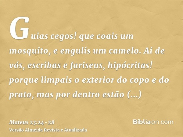 Guias cegos! que coais um mosquito, e engulis um camelo.Ai de vós, escribas e fariseus, hipócritas! porque limpais o exterior do copo e do prato, mas por dentro