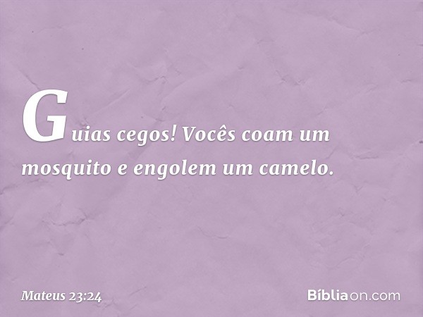 Guias cegos! Vocês coam um mosquito e engolem um camelo. -- Mateus 23:24