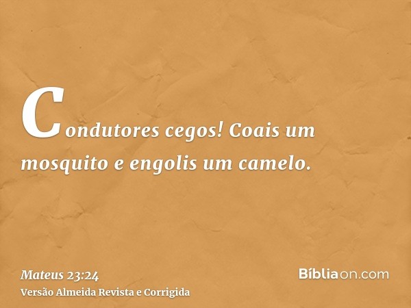 Condutores cegos! Coais um mosquito e engolis um camelo.