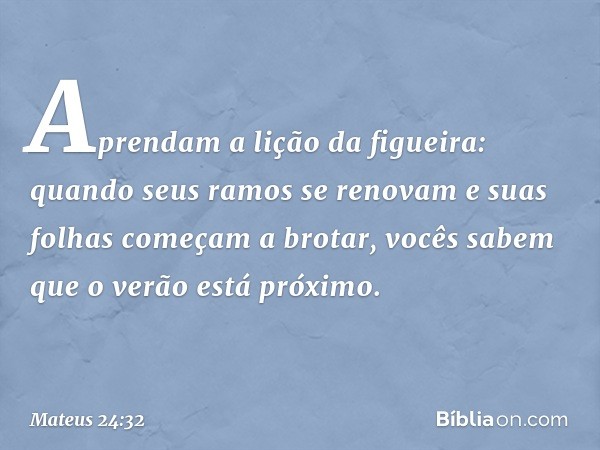 "Aprendam a lição da figueira: quando seus ramos se renovam e suas folhas começam a brotar, vocês sabem que o verão está próximo. -- Mateus 24:32