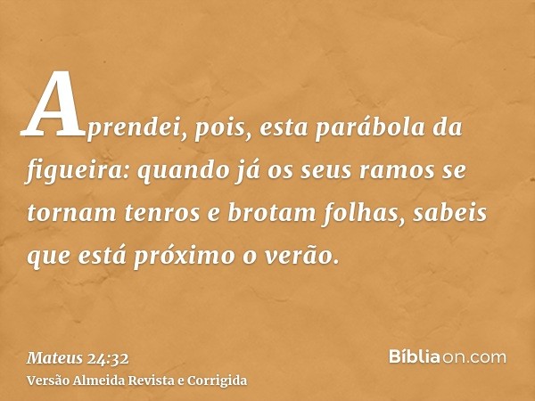 Aprendei, pois, esta parábola da figueira: quando já os seus ramos se tornam tenros e brotam folhas, sabeis que está próximo o verão.