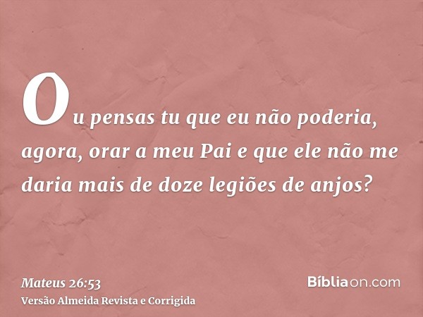Ou pensas tu que eu não poderia, agora, orar a meu Pai e que ele não me daria mais de doze legiões de anjos?