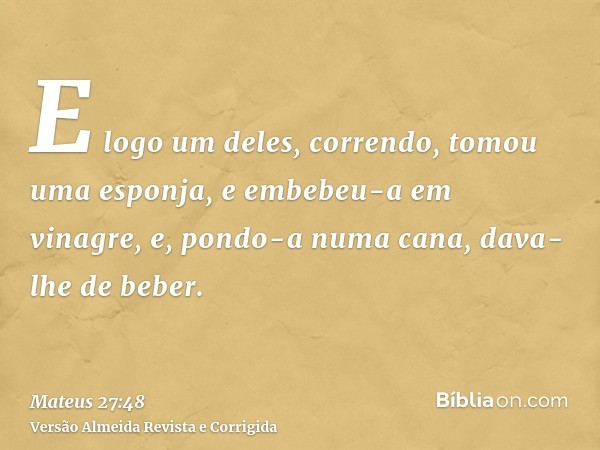 E logo um deles, correndo, tomou uma esponja, e embebeu-a em vinagre, e, pondo-a numa cana, dava-lhe de beber.